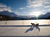 ENGADIN St. Moritz: Pferdekutsche in Silser&nbsp;Landschaft